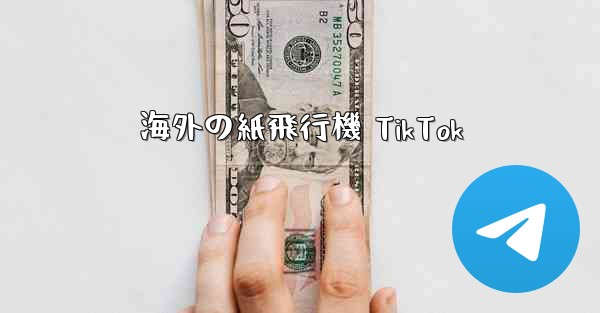 <b>海外の紙飛行機 TikTok</b> - 電報Windowsチュートリアルチュートリアル